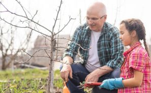 senior and child planting a tree